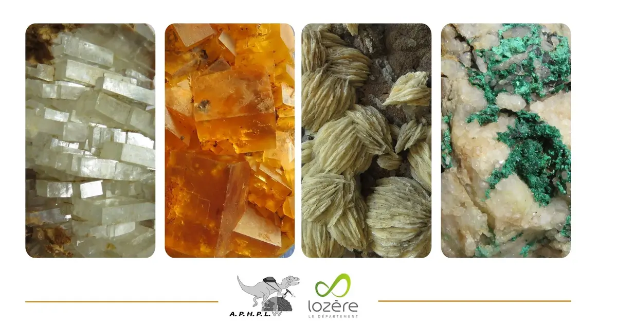 Roches, Fossiles Et Mineraux De Lozere