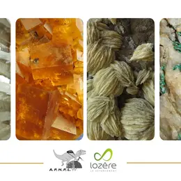 Roches, Fossiles Et Mineraux De Lozere
