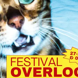 Rocksane | Festival Overlook