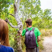 Romulée et belles plantes