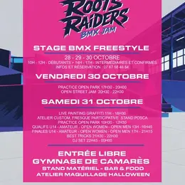 Roots Raiders BMX