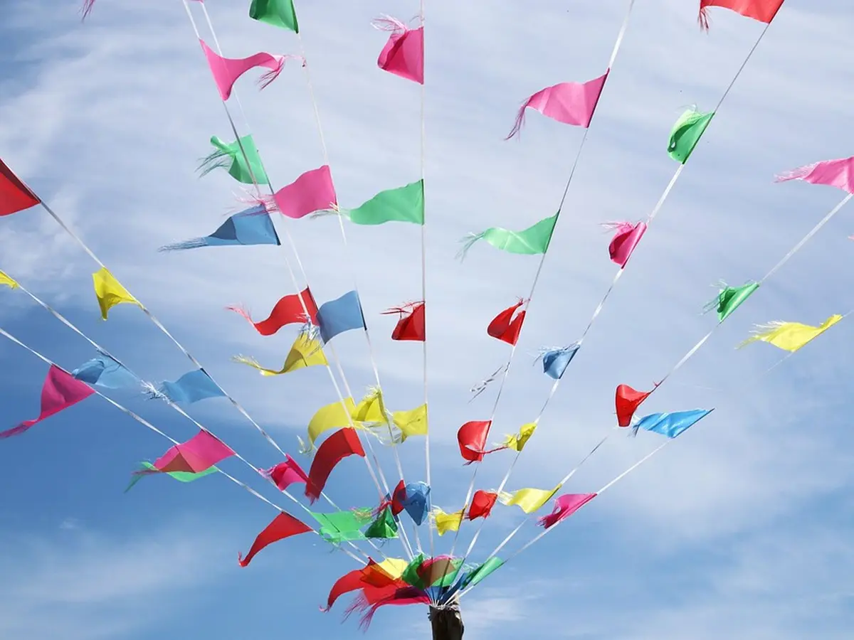 Rosé & Summer Vibes