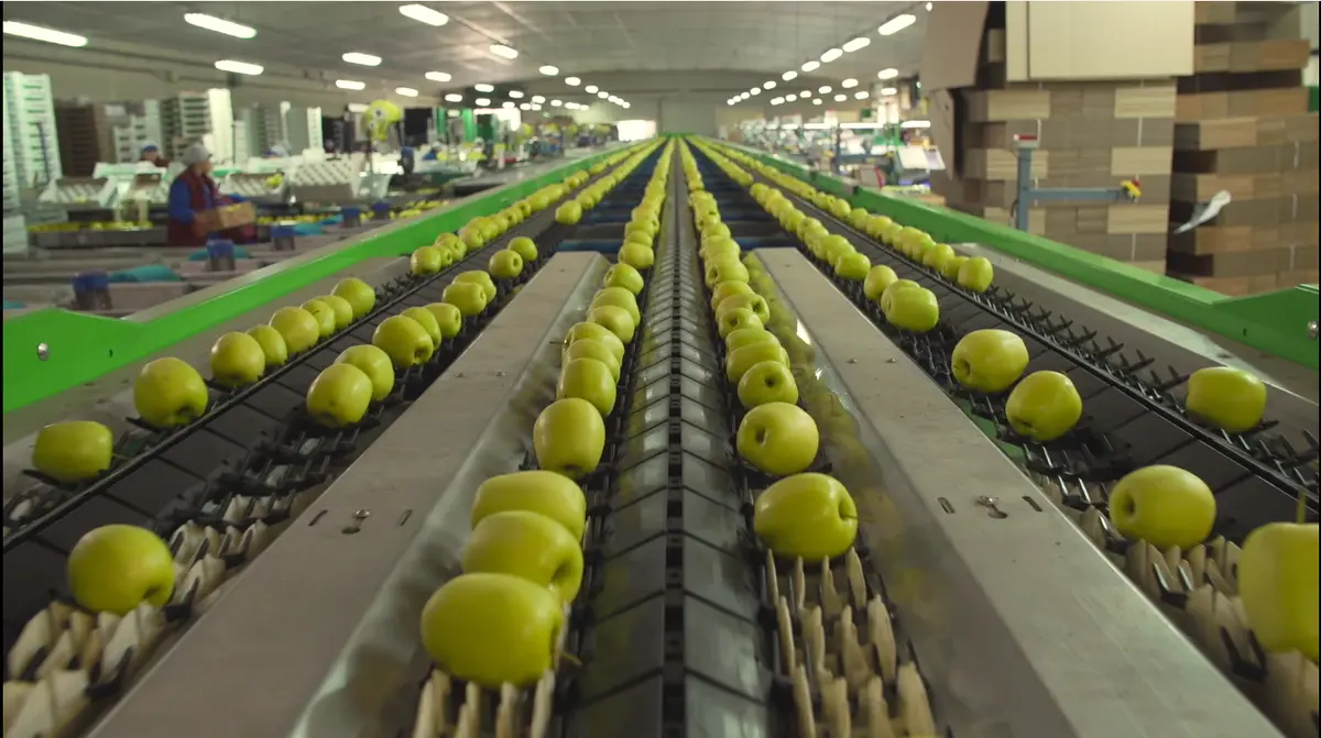 Route de la Pomme du Limousin : Visite coopérative 2026