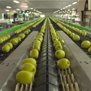 Route de la Pomme du Limousin : Visite coopérative 2026