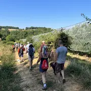 Route de la Pomme du Limousin - Visite verger 2026