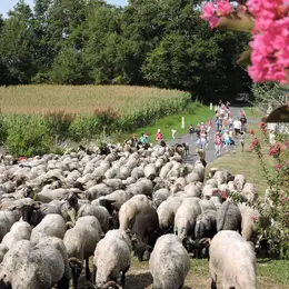 Route de la Transhumance