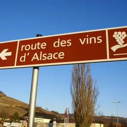Route des vins d'Alsace
