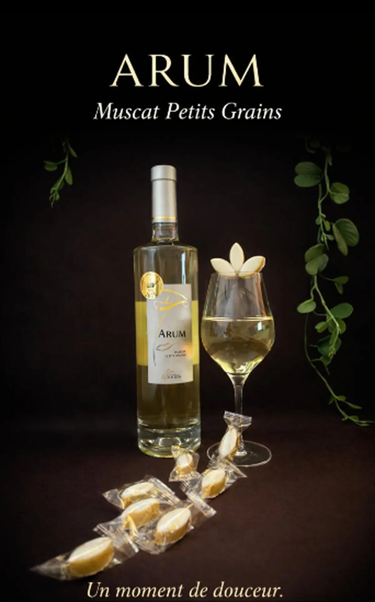 Roy René, l’Expérience Gourmande en Provence au Vignoble du Roy René