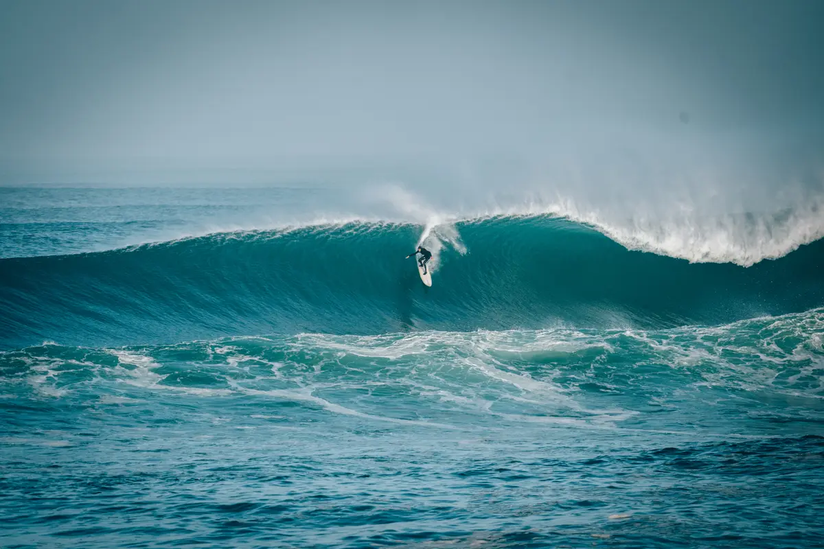 Royal Barrique 2026 • Waiting Period sur le mois d'octobre