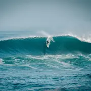 Royal Barrique 2026 • Waiting Period sur le mois d'octobre