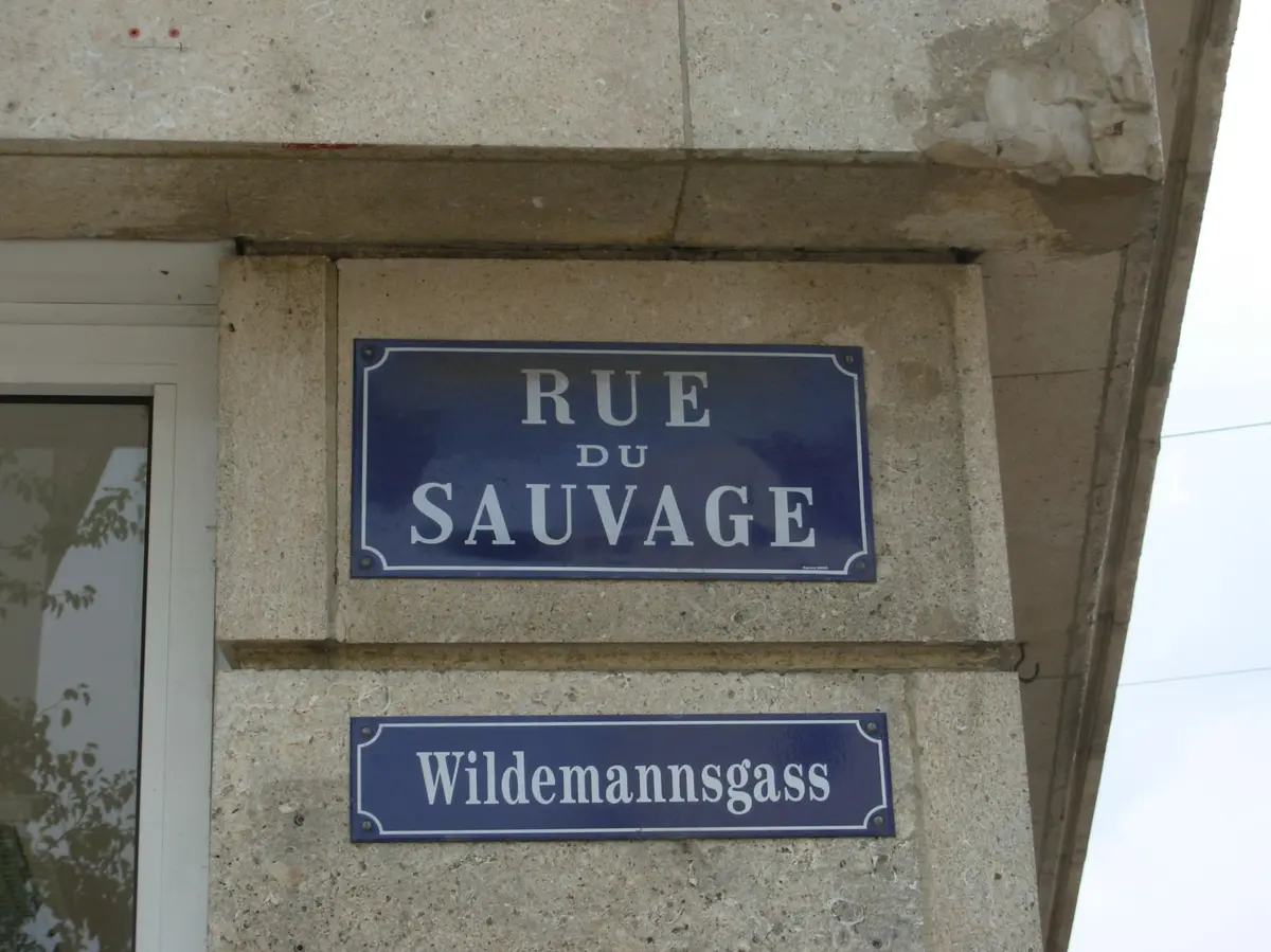 Plaque de la Rue du Sauvage aujourd’hui, devenue l’artère commerçante incontournable de Mulhouse
