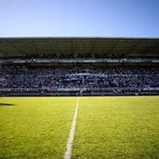Rugby: Aviron Bayonnais rugby pro - Stade Français