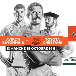 Rugby coupe d'Europe Aviron Bayonnais rugby pro - Toyota Cheetahs