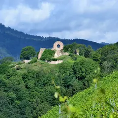 Ruines du Château de l'Engelbourg