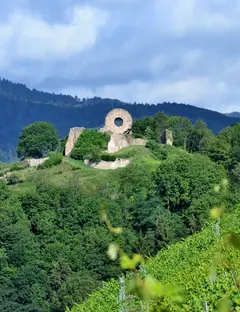 Ruines du Château de l'Engelbourg