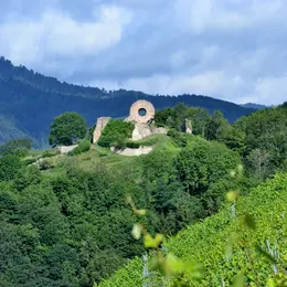 Ruines du Château de l'Engelbourg