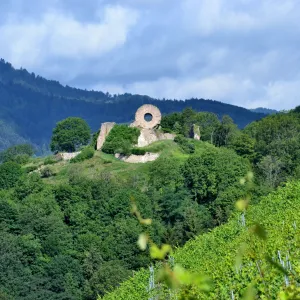 Ruines du Château de l\'Engelbourg