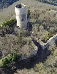 Ruines du Château du Pflixbourg