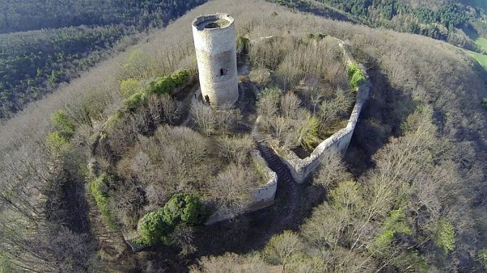 Ruines du Château du Pflixbourg