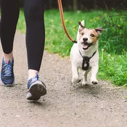 Running Dog Club de Paris : courir avec son chien dans le Bois de Boulogne