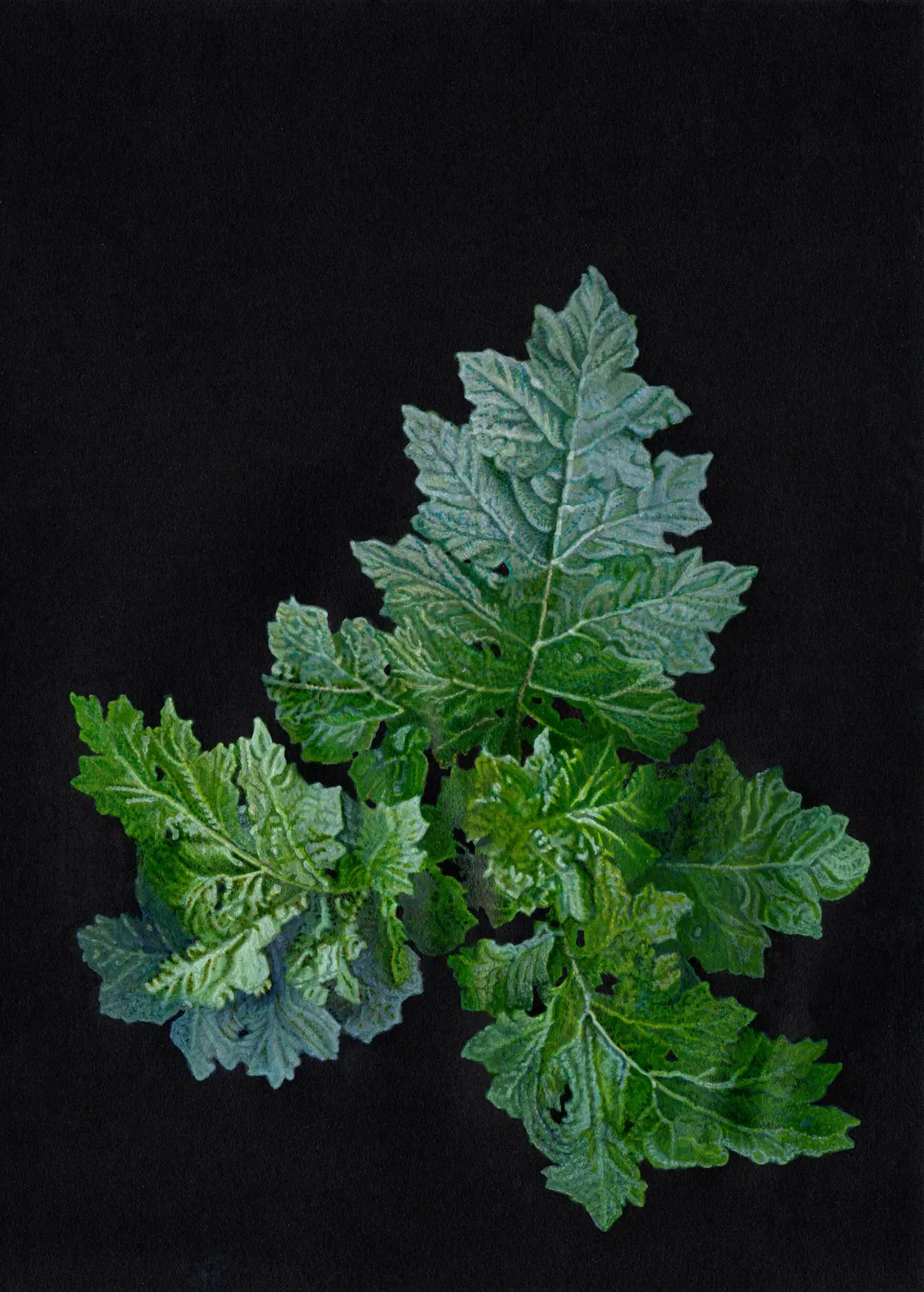 (S'EN) SORTIR, exposition Karine Bedjidian