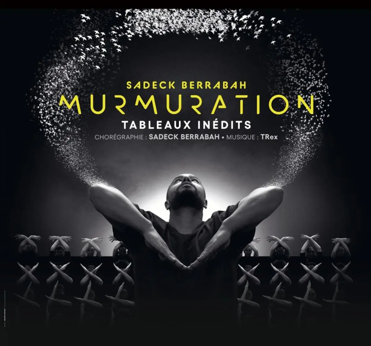 Sadeck Berrabah : Murmuration level 2