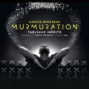 Sadeck Berrabah : Murmuration level 2