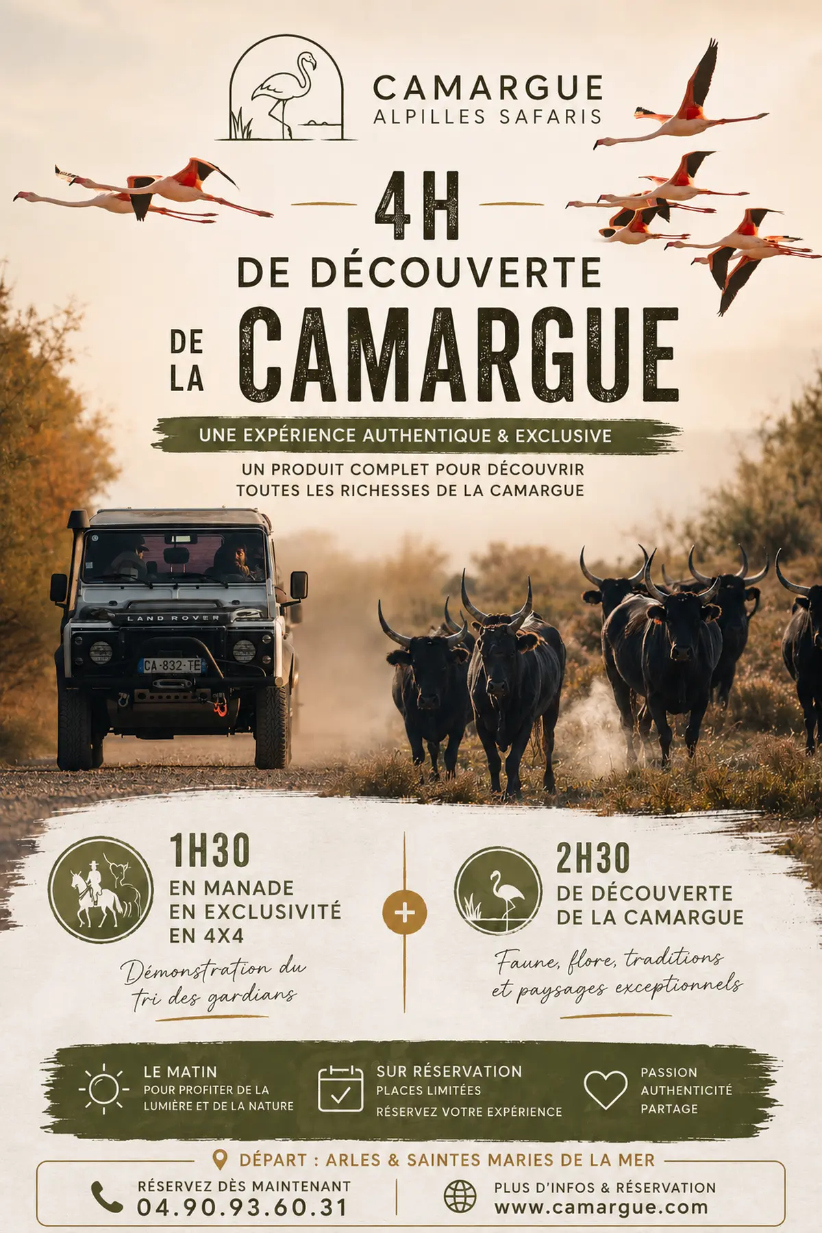 Safari Camargue avec découverte d'une manade