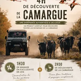 Safari Camargue avec découverte d'une manade