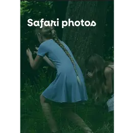 Safari photo