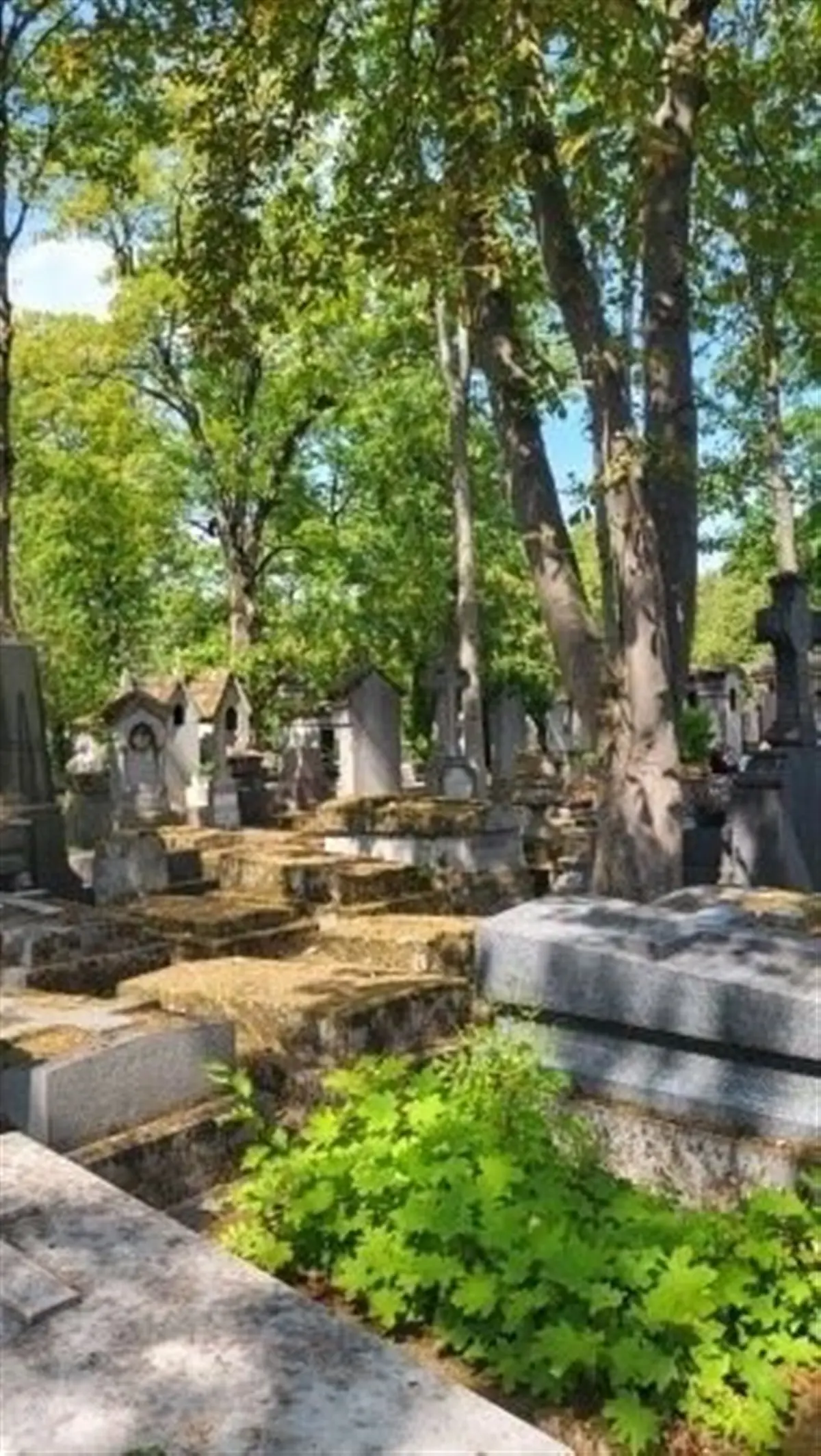Safari romantique et romanesque au cimetière du Père-Lachaise