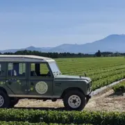 Safari viticole en Land Rover à Sarrians (84)
