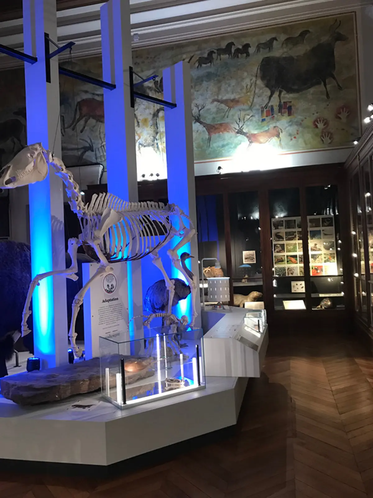 Safaris racontés au Muséum