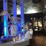 Safaris racontés au Muséum
