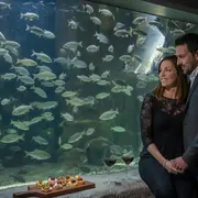 Saint Valentin à l'Aquarium de Touraine