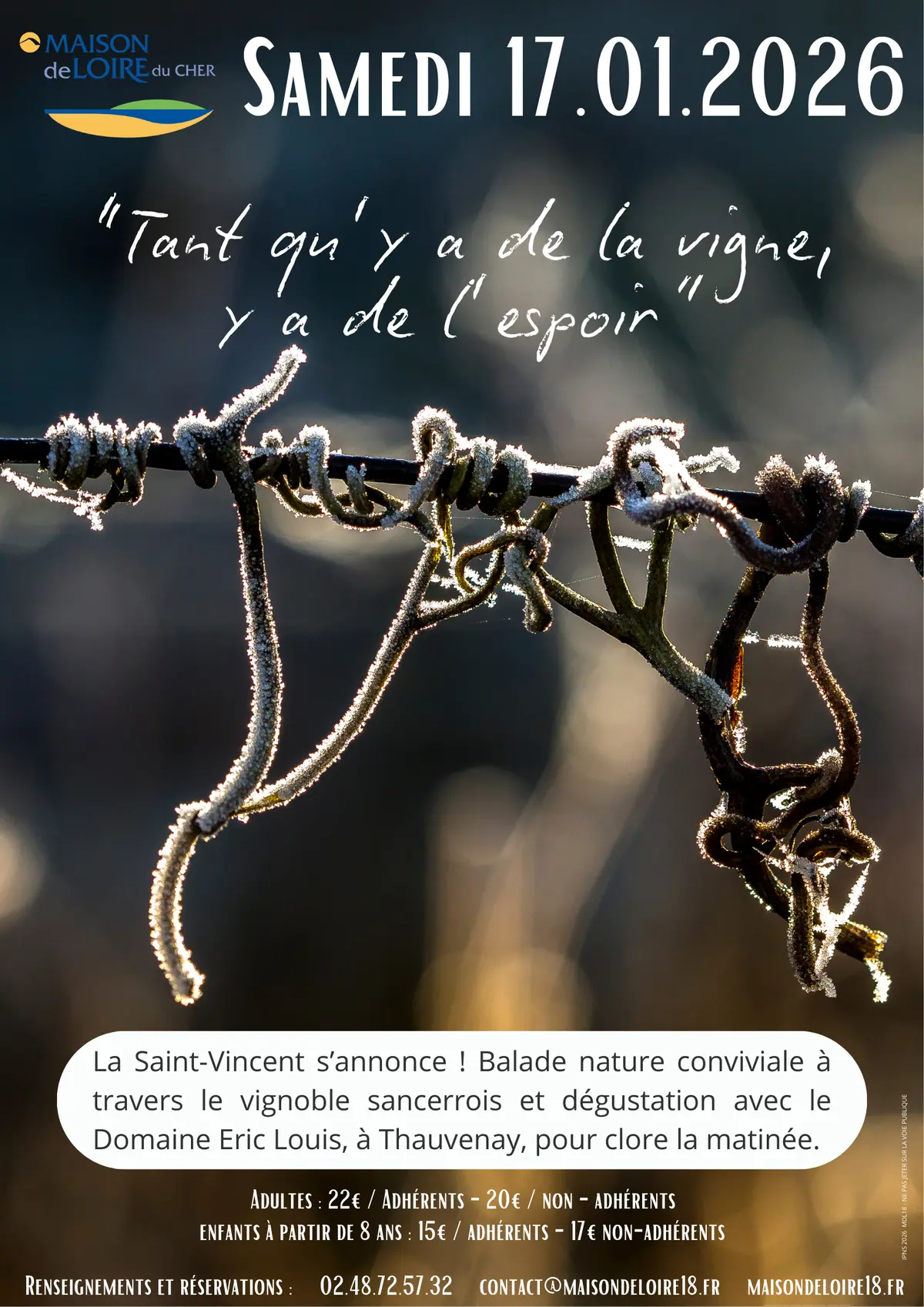 [Saint Vincent]: Tant qu'il y a de la vigne, y a de l'espoir