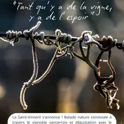 [Saint Vincent]: Tant qu'il y a de la vigne, y a de l'espoir