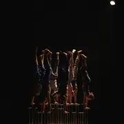 Saison culturelle - Le Complexe de l’Autruche - Collectif d’équilibristes