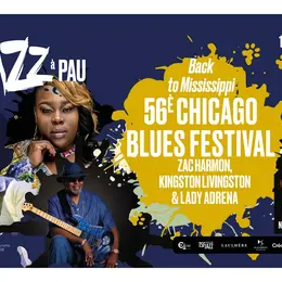 Saison de Jazz à Pau : 56è Chicago Blues Festival Back to Mississippi