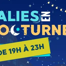 Salies en nocturne et son marché