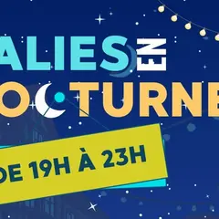 Salies en nocturne et son marché