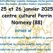 salon  annuel des collectionneurs