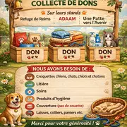 Salon bien être animalier à Prosnes