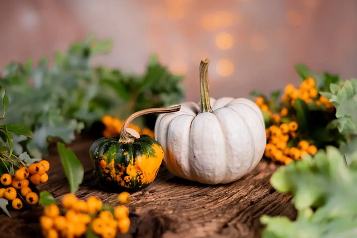 Salon de l'automne