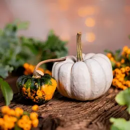 Salon de l'automne