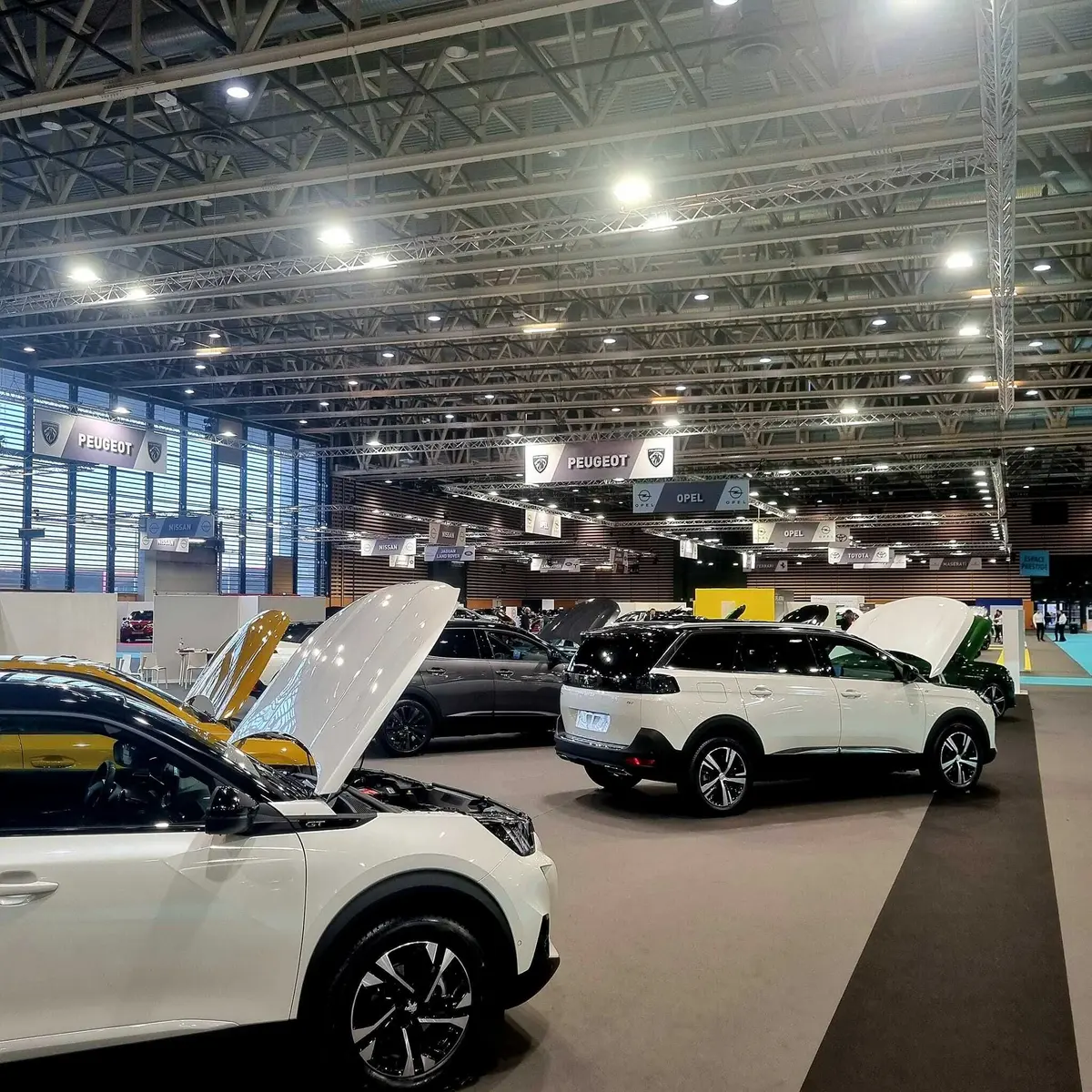 Salon de l'Automobile  à Lyon