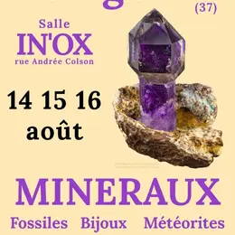 Salon de Minéraux et Fossiles de Langeais (37)