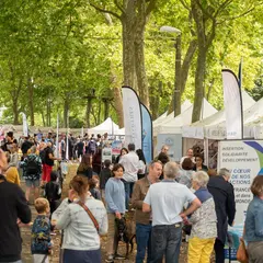 Salon des associations 2026 de Chartres