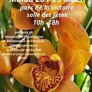 Salon des orchidées