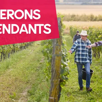 Strasbourg : nos 8 idées sorties du week-end